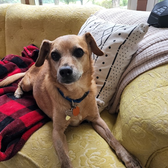roscoe_h